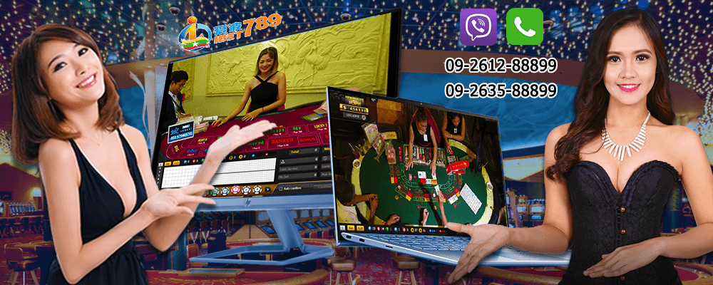 live casino ibet789